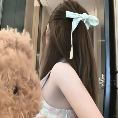 芝士伙伴